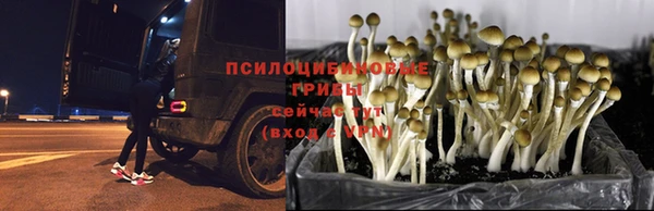 ешки Приозерск