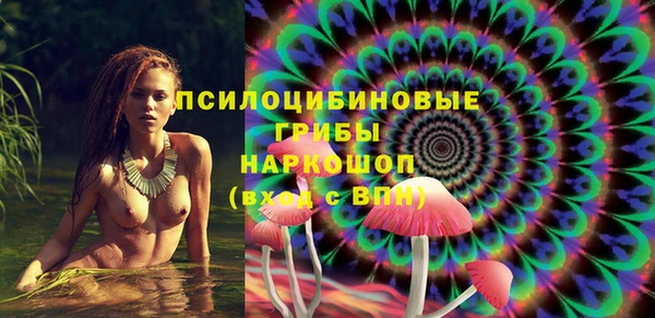 сатива Абдулино