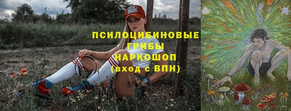 сатива Абдулино