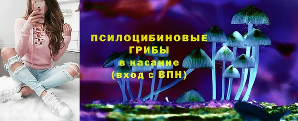 сатива Абдулино
