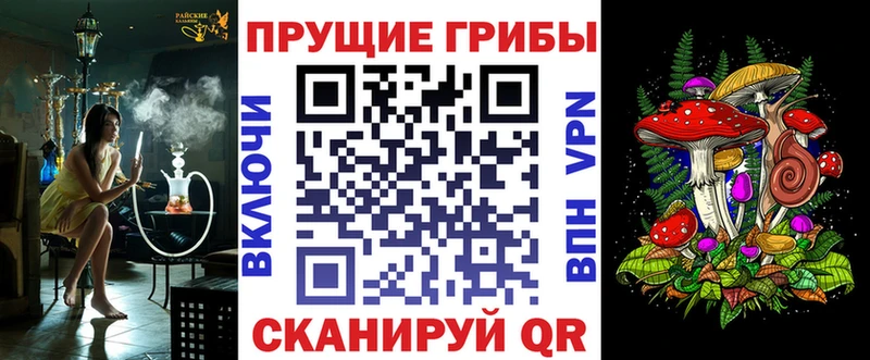 Псилоцибиновые грибы Psilocybe  blacksprut как войти  Краснокамск  купить наркотики сайты 